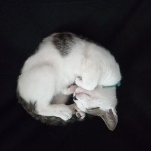 Meet your Posher, Catherine